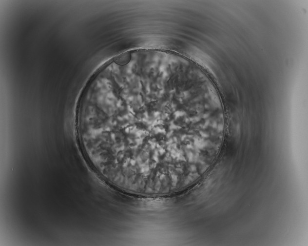 X0000089671087200707201634