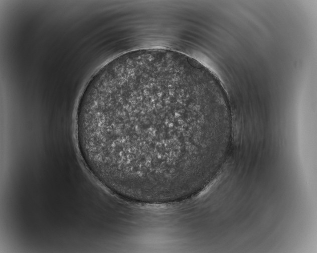 X0000089671088200707201634