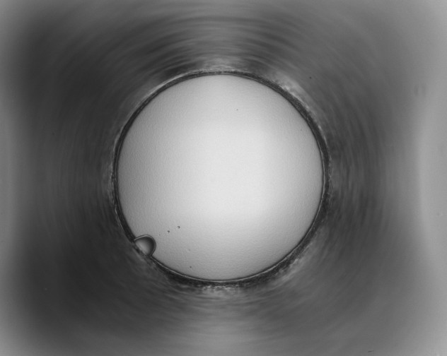 X0000089671089200707201634
