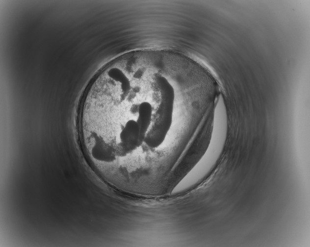 X0000089671091200707201634