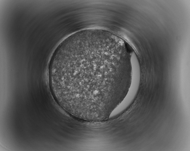 X0000089671092200707201634