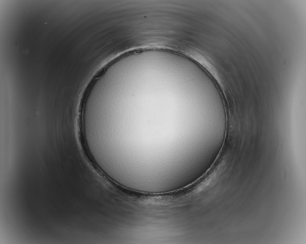 X0000089671093200707201634