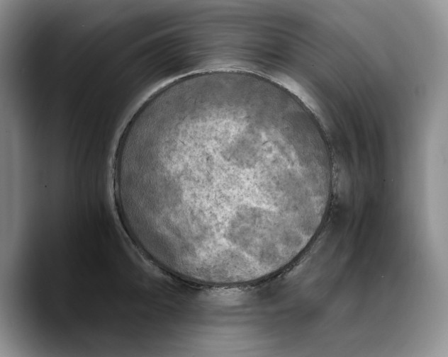 X0000089671094200707201634