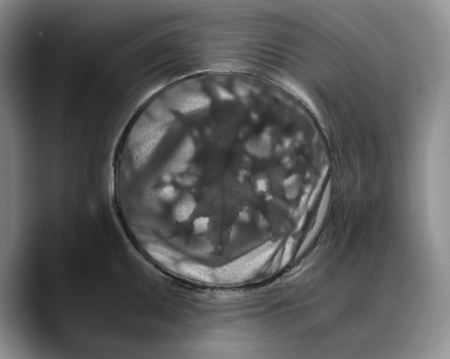 X0000089671095200707201634