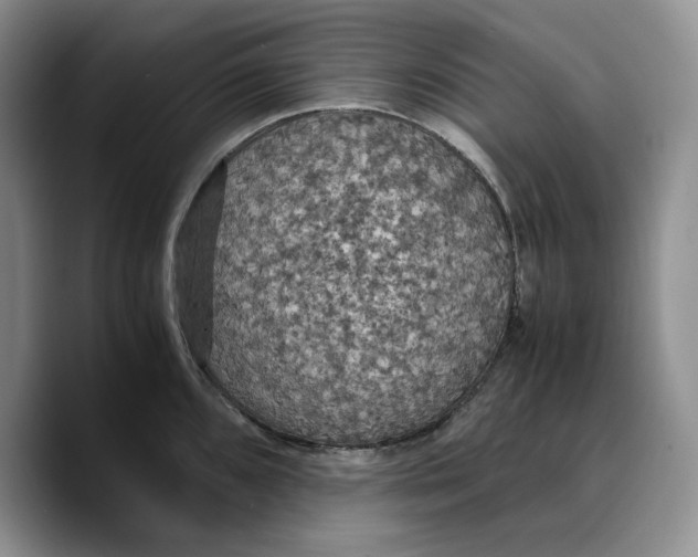 X0000089671096200707201634