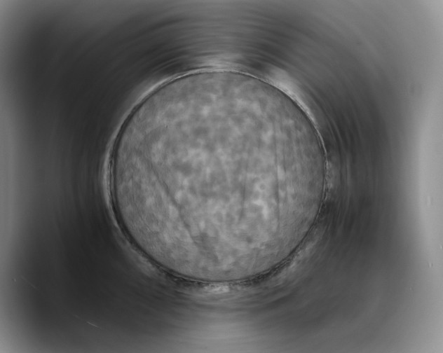 X0000089671098200707201634