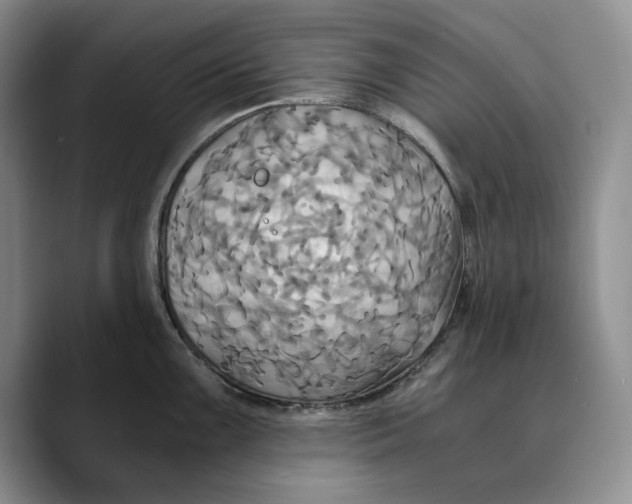 X0000089671099200707201634