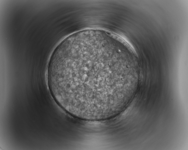 X0000089671100200707201634