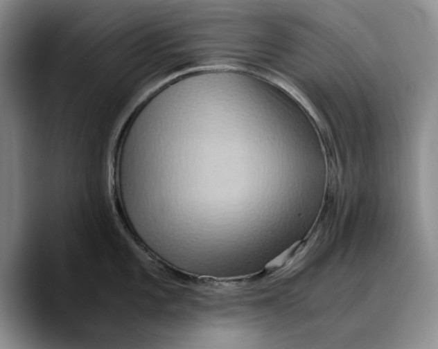 X0000089671101200707201634