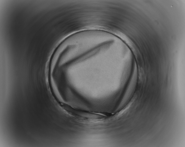 X0000089671102200707201634