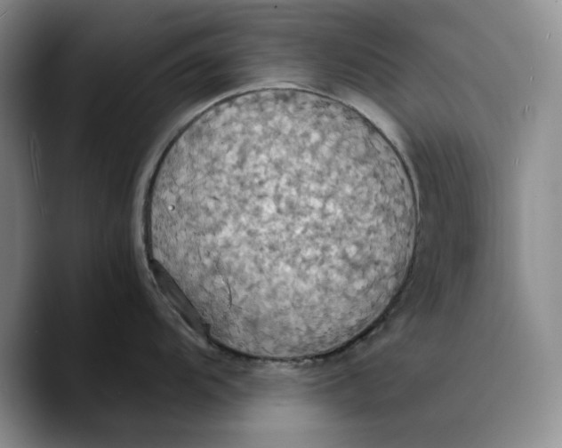 X0000089671104200707201634