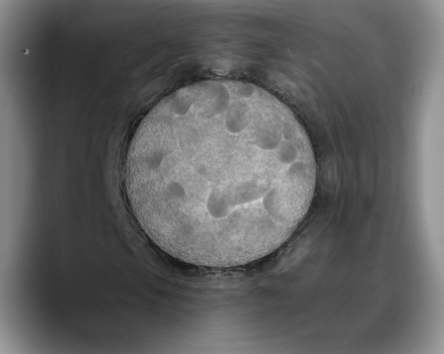 X0000089671105200707201633