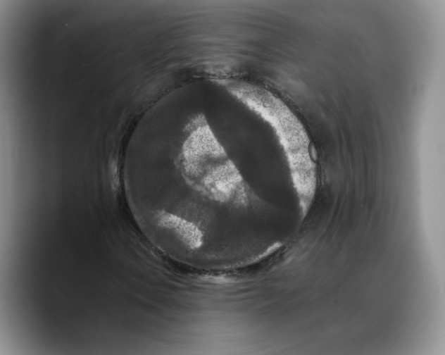 X0000089671106200707201633