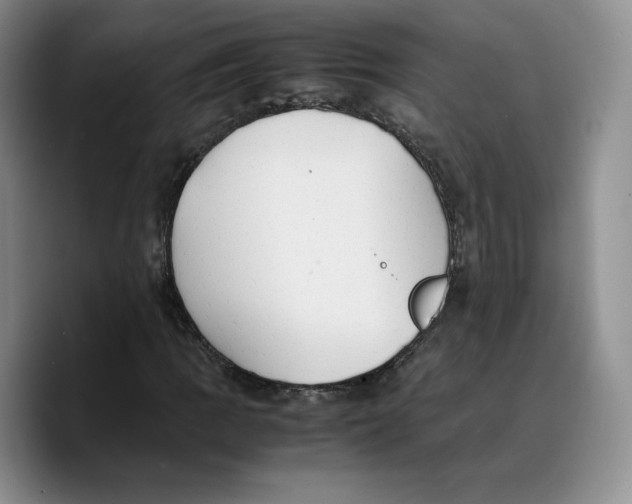 X0000089671109200707201633