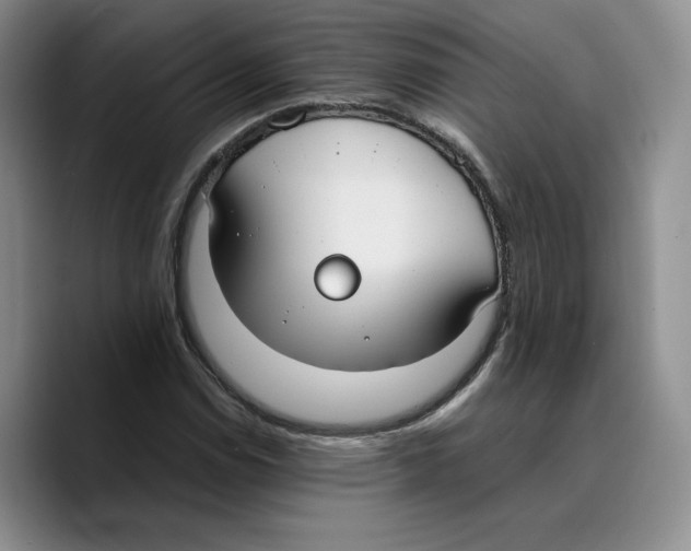 X0000089671114200707201633
