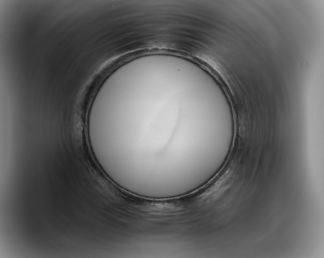 X0000089671115200707201633