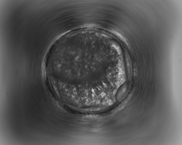 X0000089671117200707201633