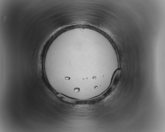 X0000089671118200707201633