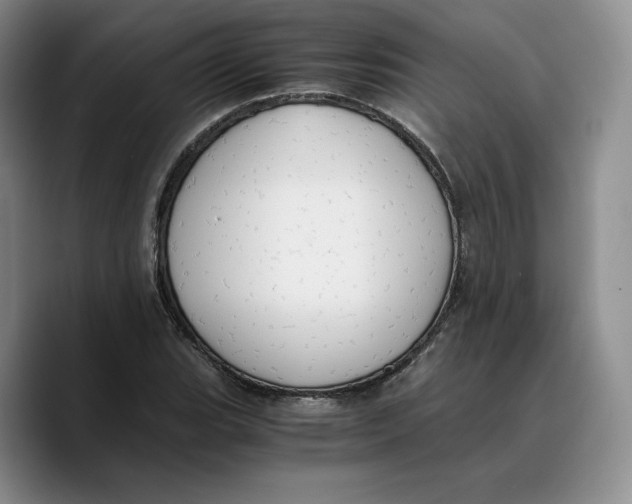 X0000089671119200707201633