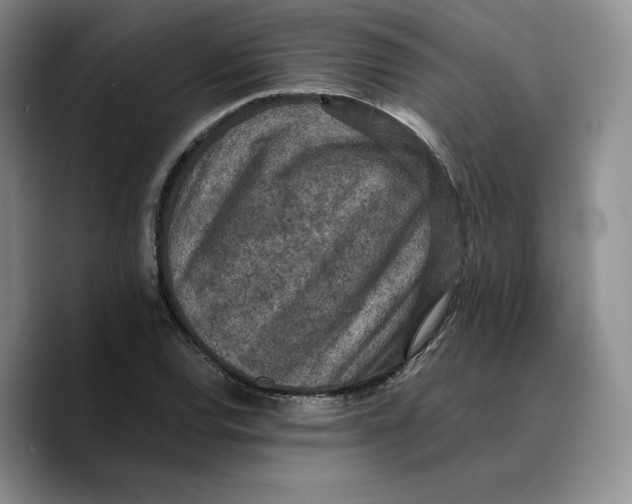 X0000089671120200707201633