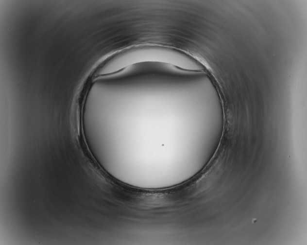 X0000089671123200707201633