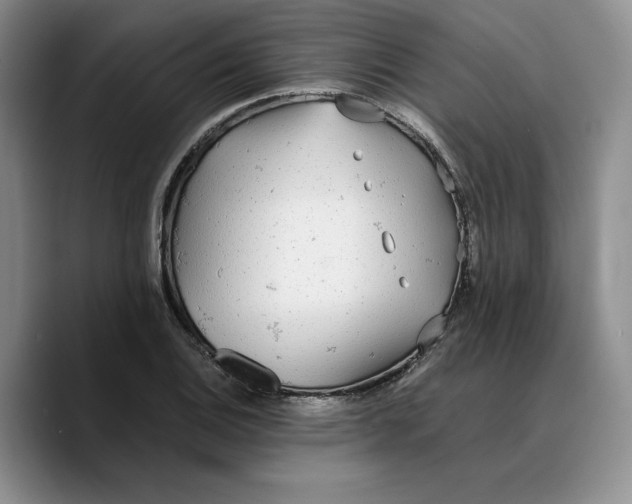 X0000089671124200707201633