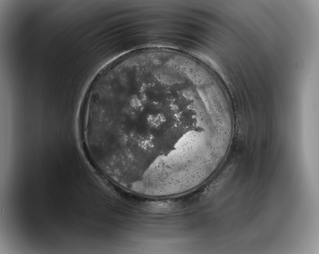 X0000089671125200707201633