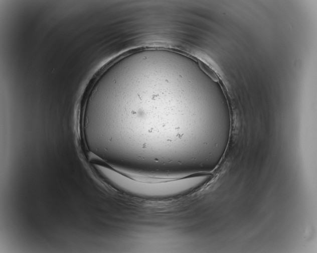 X0000089671128200707201633