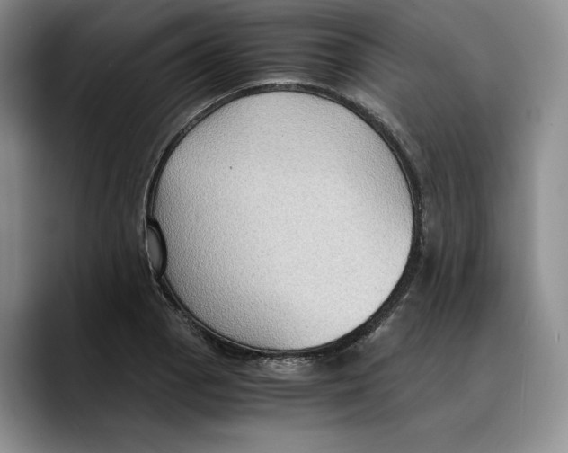 X0000089671129200707201634