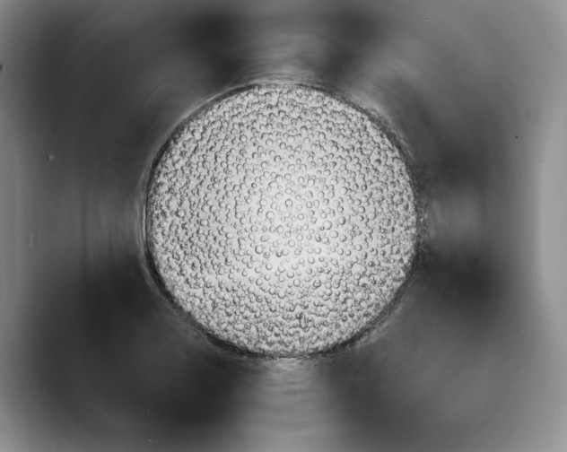 X0000089671130200707201634