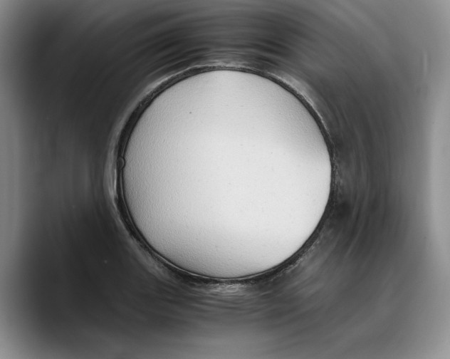 X0000089671131200707201634