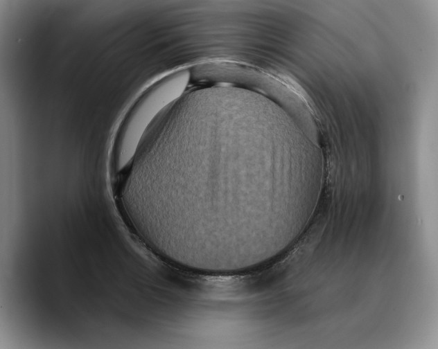 X0000089671132200707201634