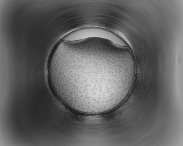 X0000089671133200707201634