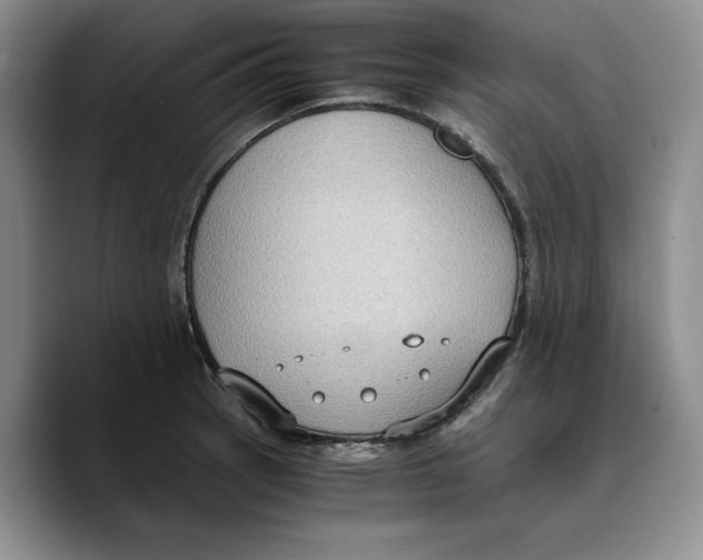 X0000089671137200707201634