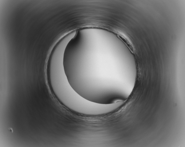 X0000089671138200707201634