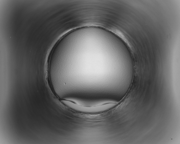 X0000089671140200707201634