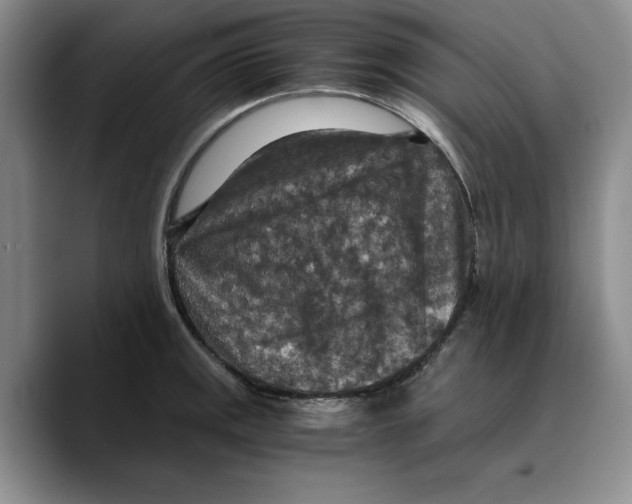 X0000089671141200707201634
