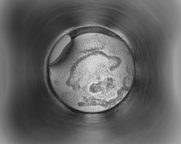 X0000089671142200707201634