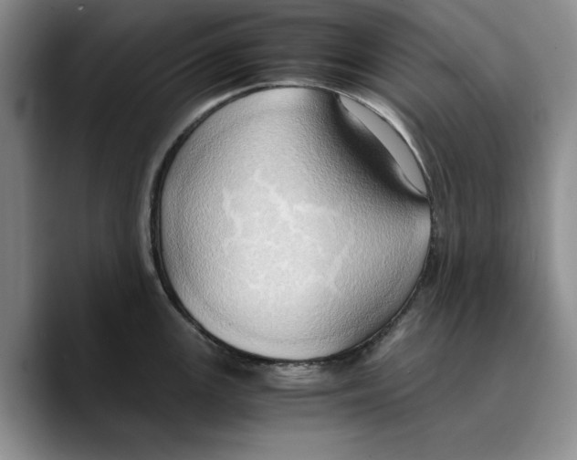 X0000089671147200707201634
