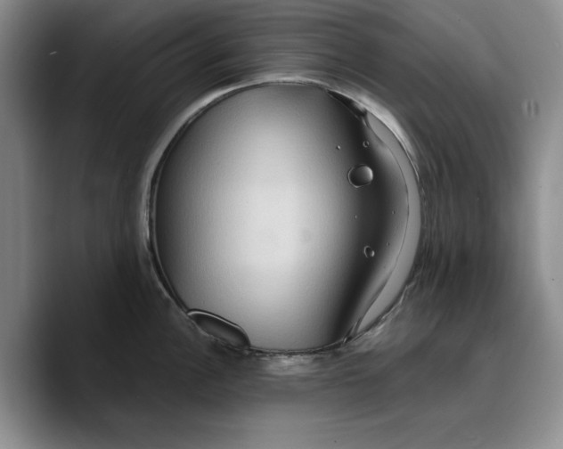 X0000089671148200707201634