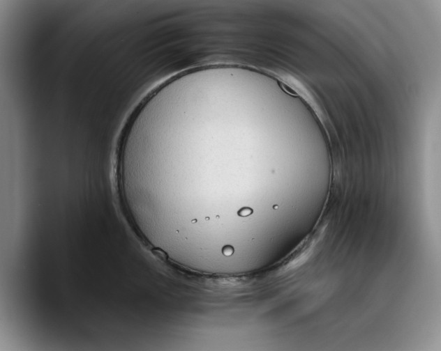 X0000089671149200707201634