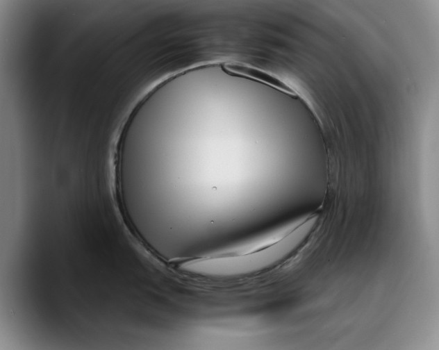 X0000089671151200707201634