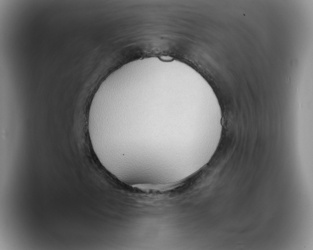X0000089671153200707201633