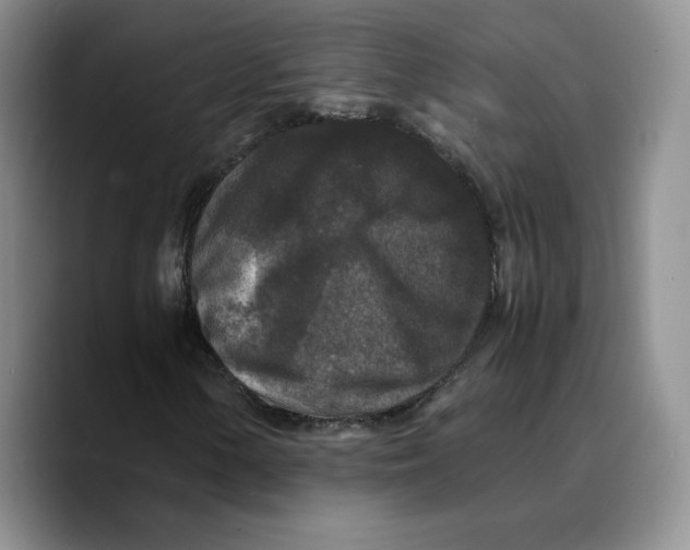 X0000089671154200707201633