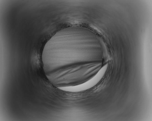 X0000089671156200707201633