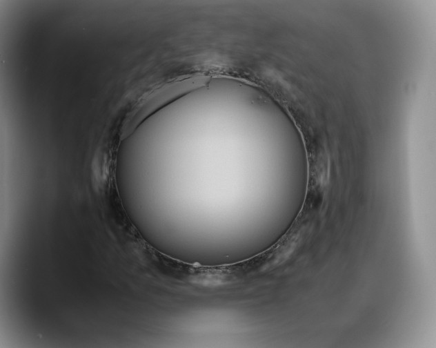 X0000089671157200707201633