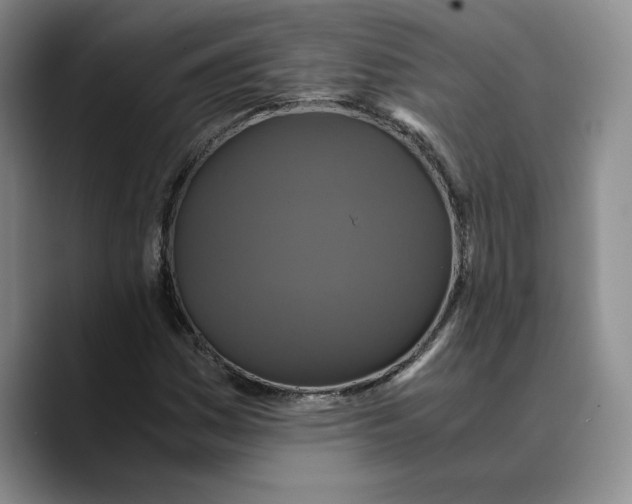 X0000089671161200707201633