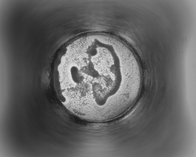 X0000089671163200707201633