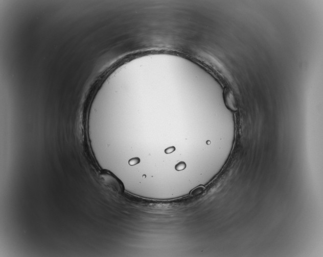 X0000089671172200707201633