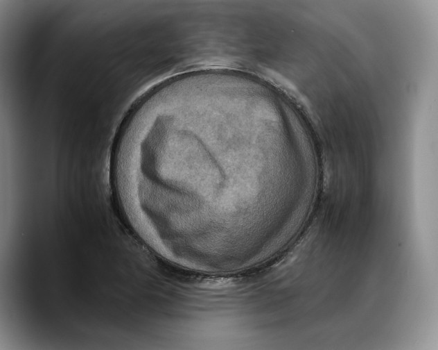 X0000089671174200707201633